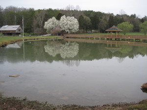 Norton Pond & the Gazebo