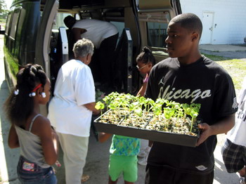 Unloading the Plants