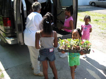 Unloading the Plants 2