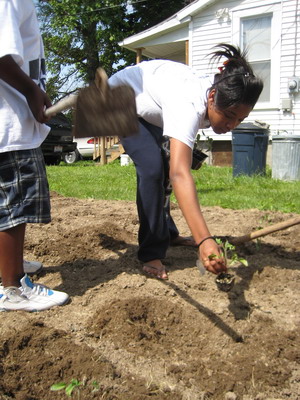 Planting 7