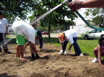 Watering & Packing