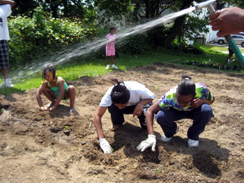 Watering & Packing 2