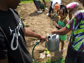 Watering