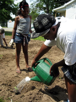 Watering 2