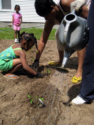 Watering & Packing 3