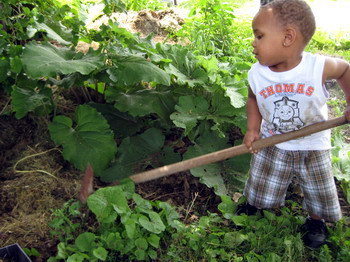 Gathering the Mulch