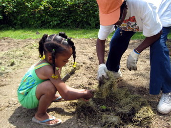 Adding the Mulch 3