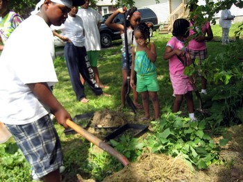 Gathering the Mulch 2