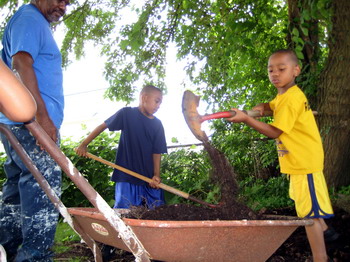 Gathering the Mulch 6