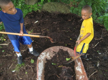 Gathering the Mulch 7