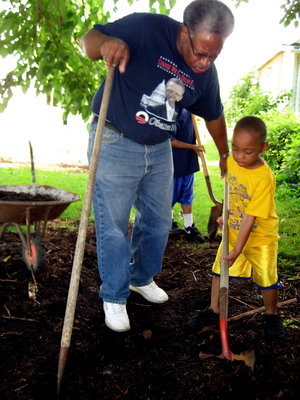 Gathering the Mulch 5