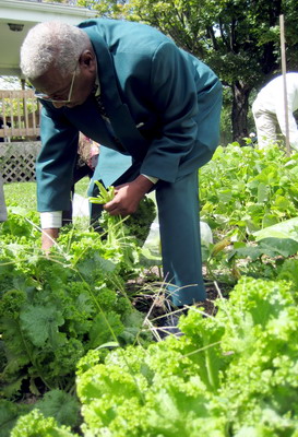 Reaping the Harvest