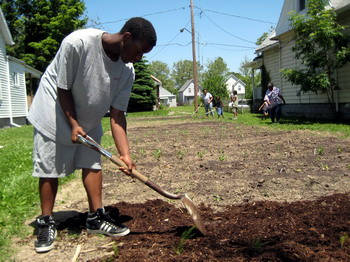 Spreading the Mulch 7