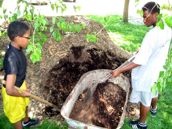 Gathering Soil