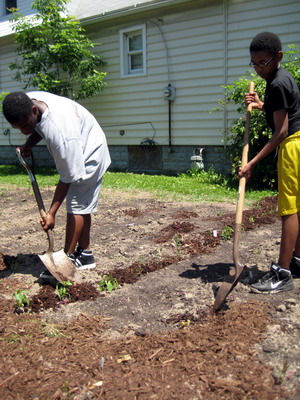 Spreading the Mulch 5