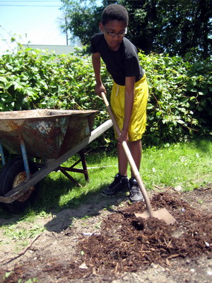 Spreading the Mulch 6