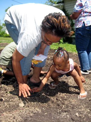 Planting Seeds