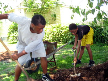 Gathering Mulch 3