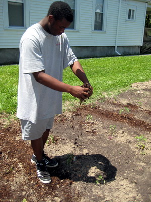 Spreading the Mulch 8