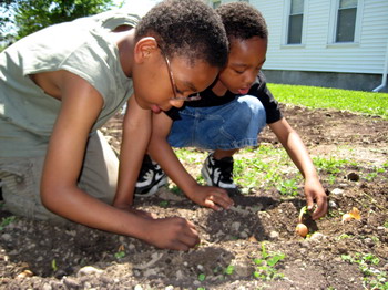 Planting Seeds 2