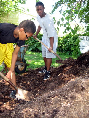 Gathering Mulch 4