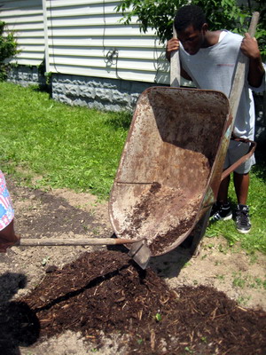 Pouring/Spreading Mulch