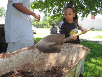 Gathering Mulch 6