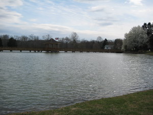 Norton Pond & the Gazebo