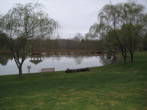 Norton Pond & the Gazebo